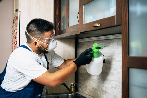 Best Bed Bug Extermination  in Stanton, TX