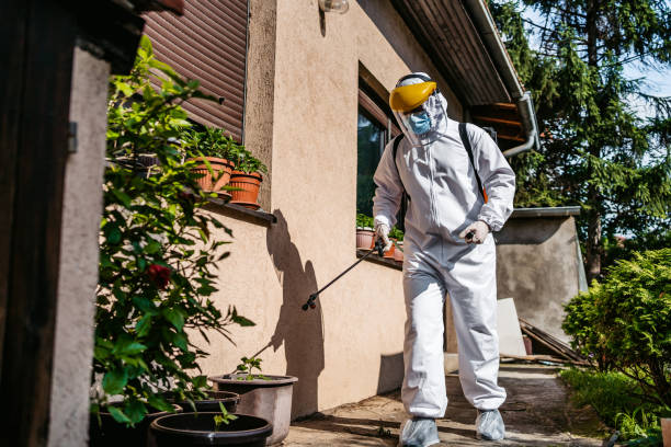 Best Flea Control Services  in Stanton, TX
