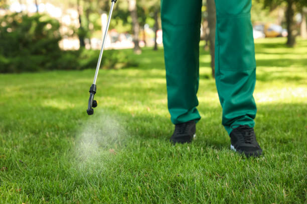 Flea Control Services in Stanton, TX