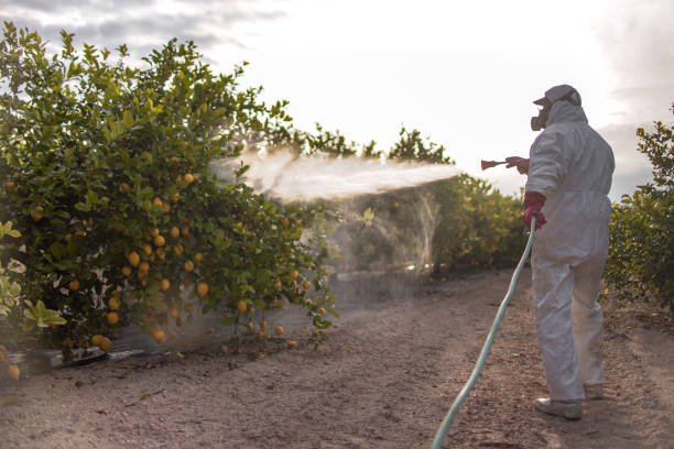 Best Commercial Pest Control Services  in Stanton, TX