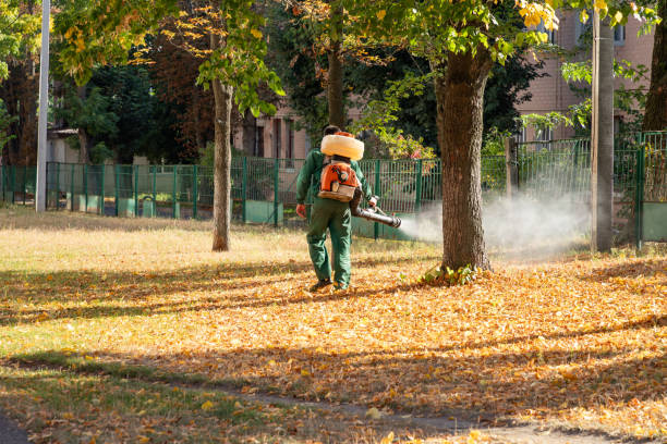Best Emergency Pest Control  in Stanton, TX