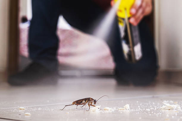 Best Exterminator Services  in Stanton, TX