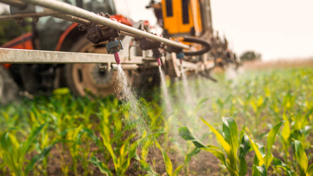 Best Pest Control for Businesses  in Stanton, TX