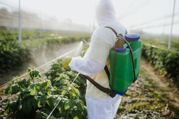 Best Best Pest Control Companies  in Stanton, TX